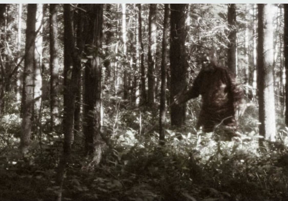 The Patterson Gimlin Film Is Bigfoot Real Spirit Realm Network